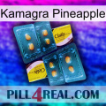 Kamagra Pineapple cialis5